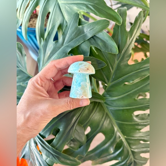 Blue Caribbean Calcite Mushroom - Picture 4 of 6